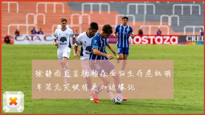 徐静雨直言杨瀚森面临生存危机明年若无突破将更加边缘化